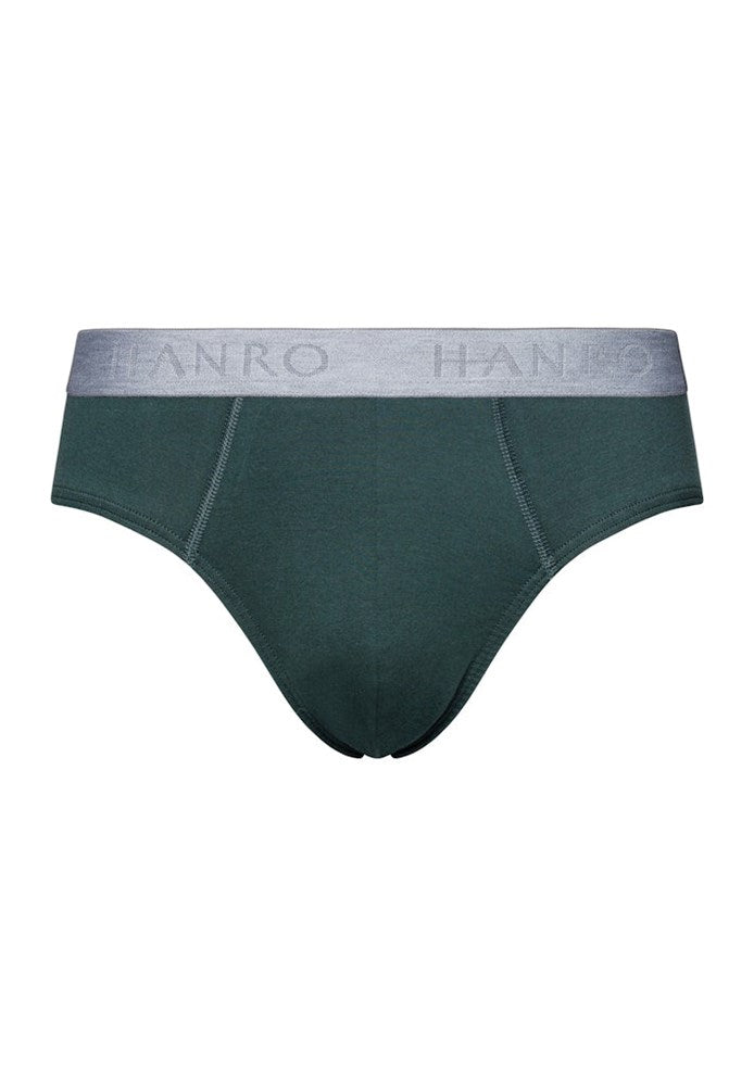 The Cotton Essentials-Briefs 2Pack By Hanro In Herbal Tea/Vintage Indigo