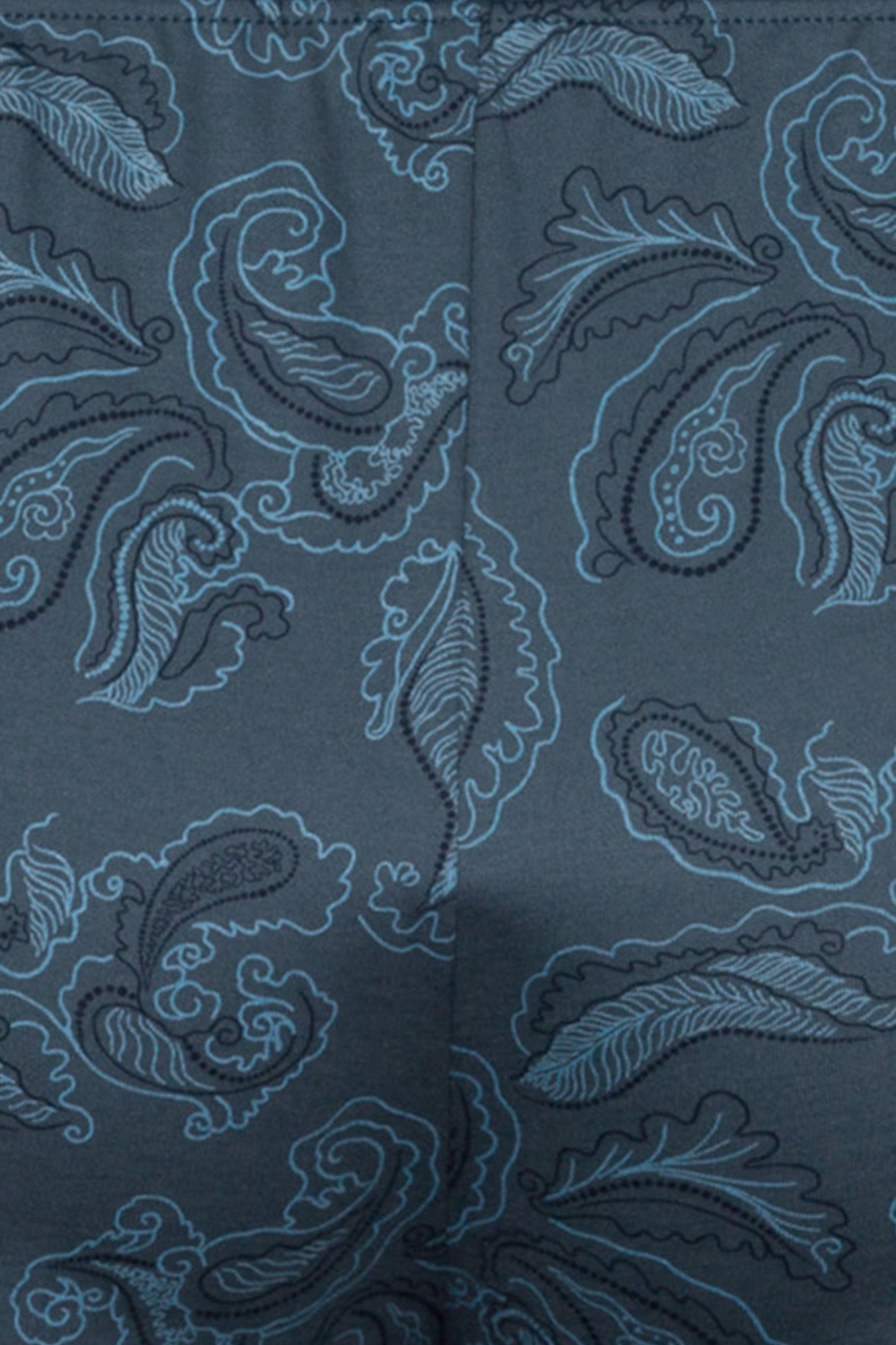 The Night & Day Short Pants By HANRO In Aqua Paisley