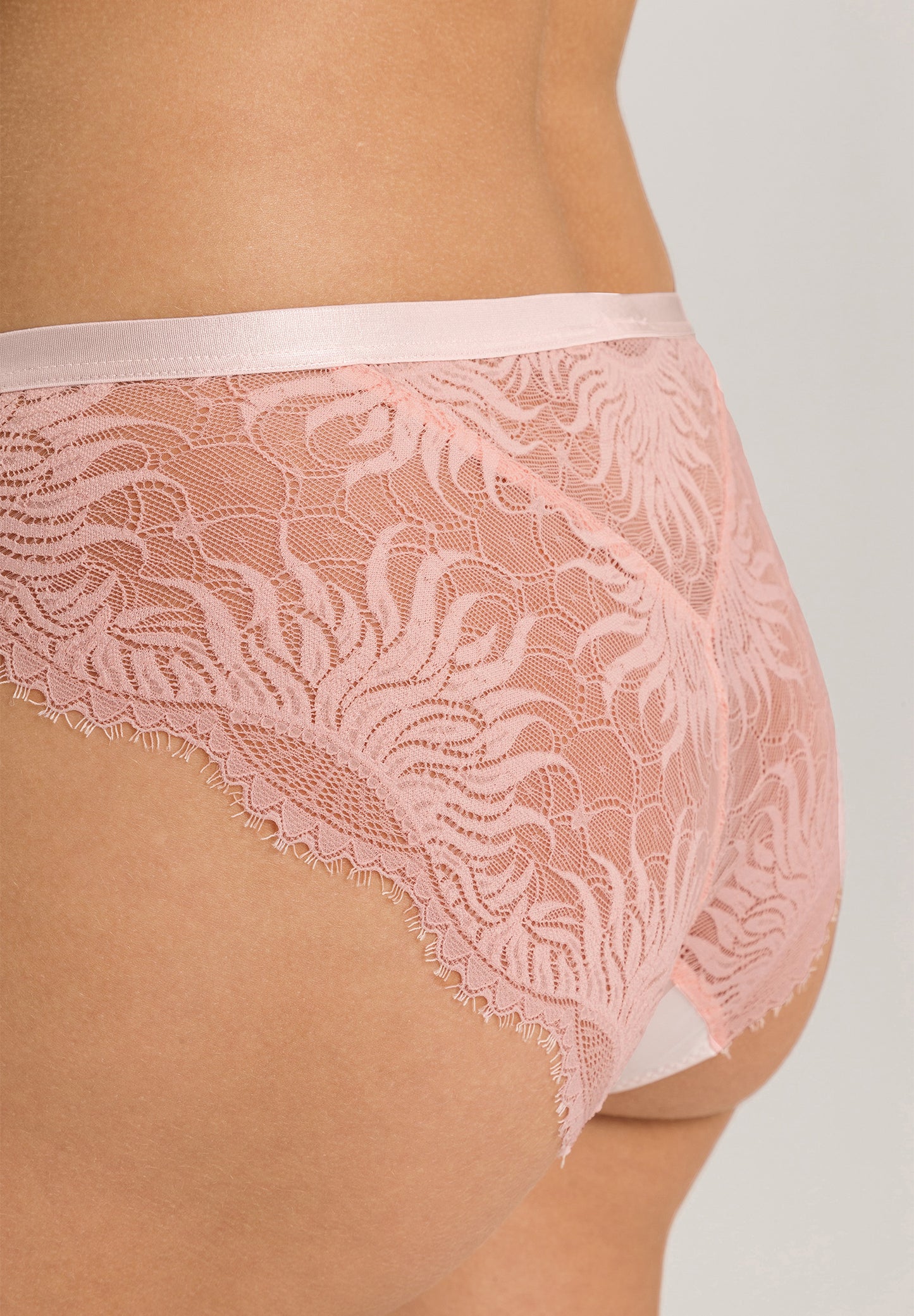 The Gale-Midi Briefs By Hanro In Rosewater