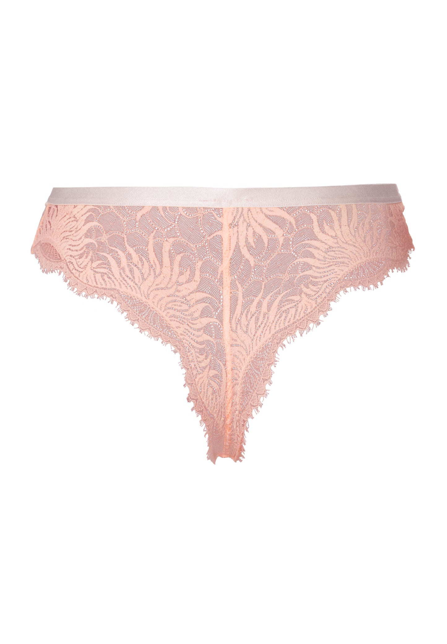The Gale-Brazilian Panty By Hanro in Rosewater