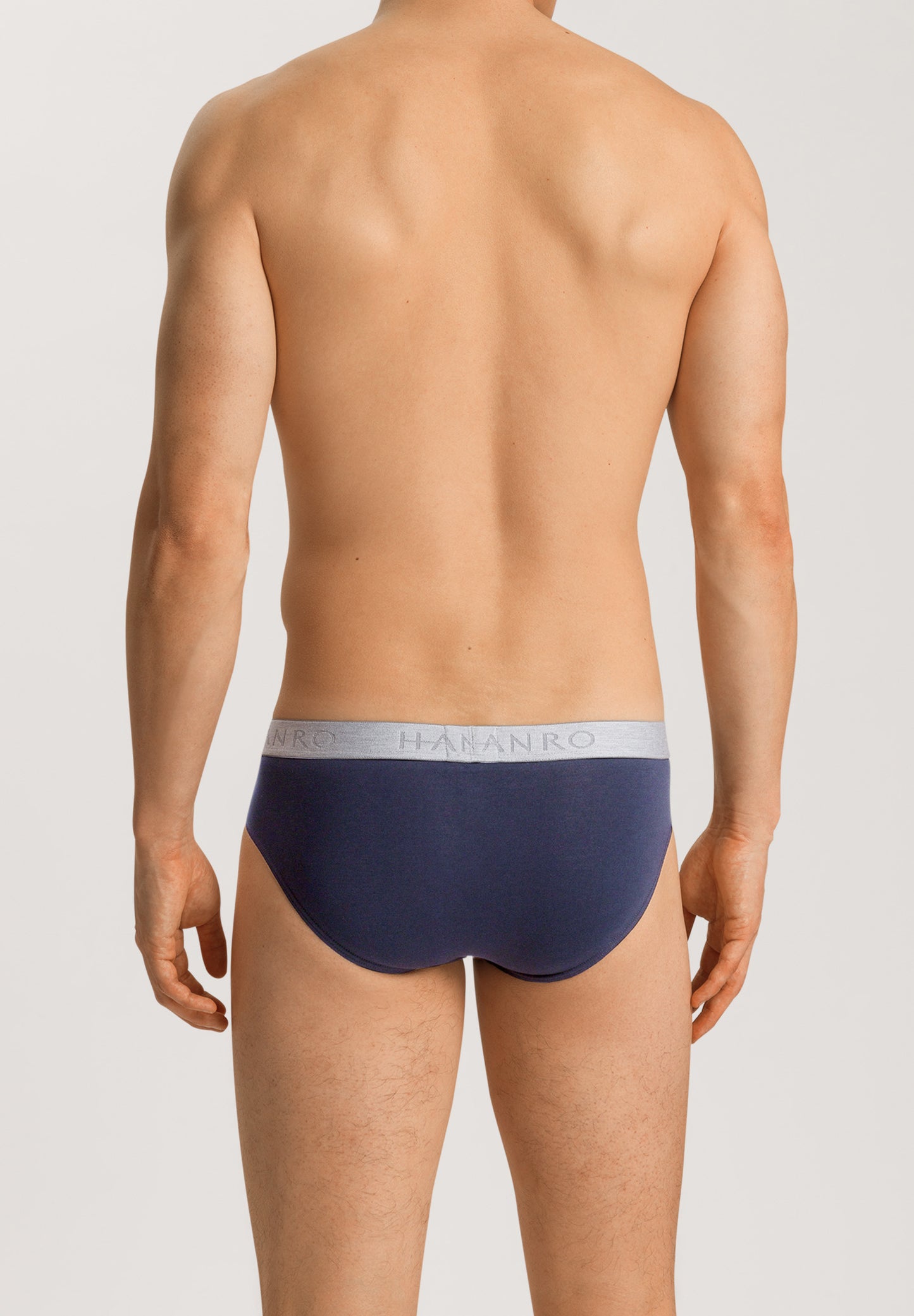 The Cotton Essentials-Briefs 2Pack By Hanro In Herbal Tea/Vintage Indigo