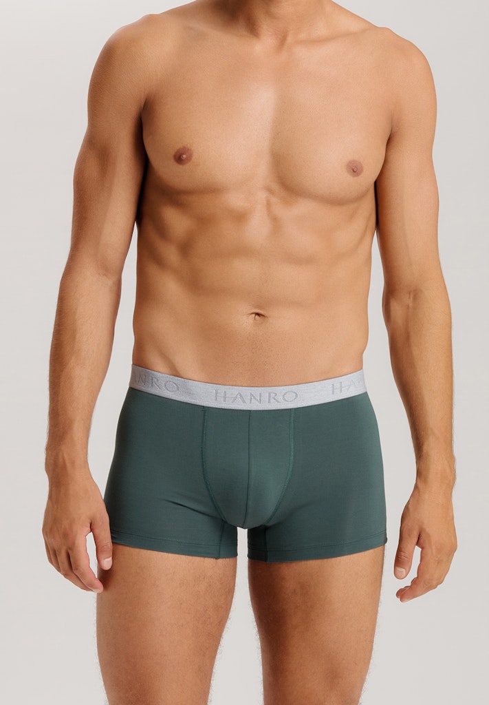 The Cotton Essentials-Pants 2Pack By Hanro In Herbal Tea/Vintage Indigo