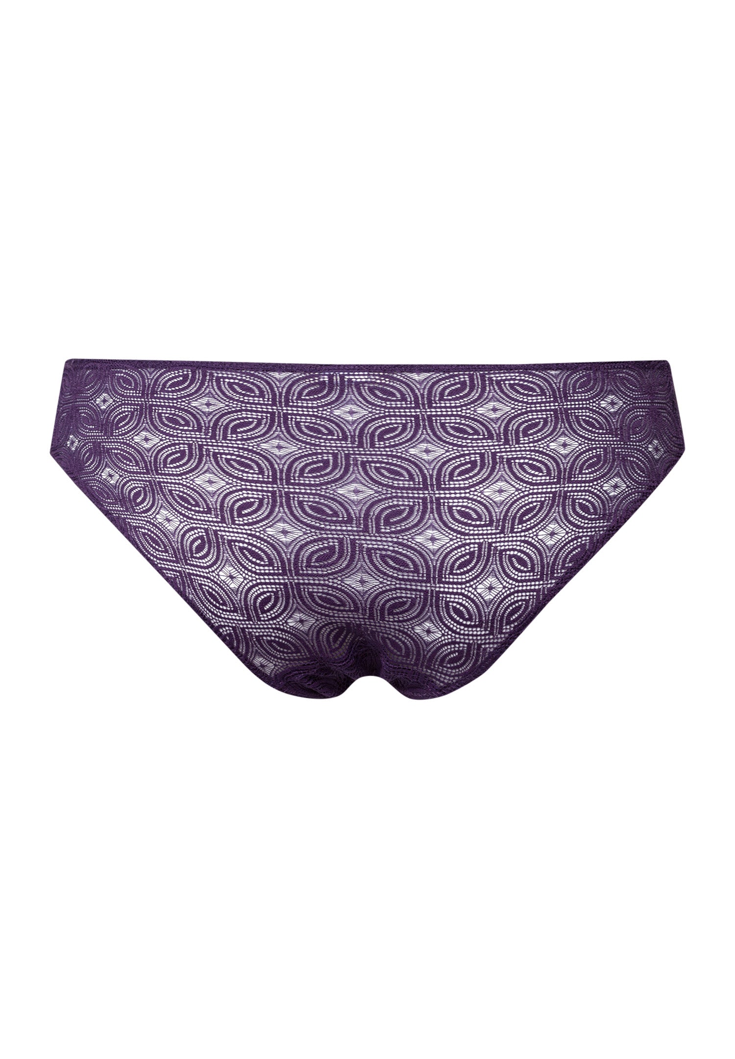The Ruby-Mini Briefs By Hanro in Amethyst