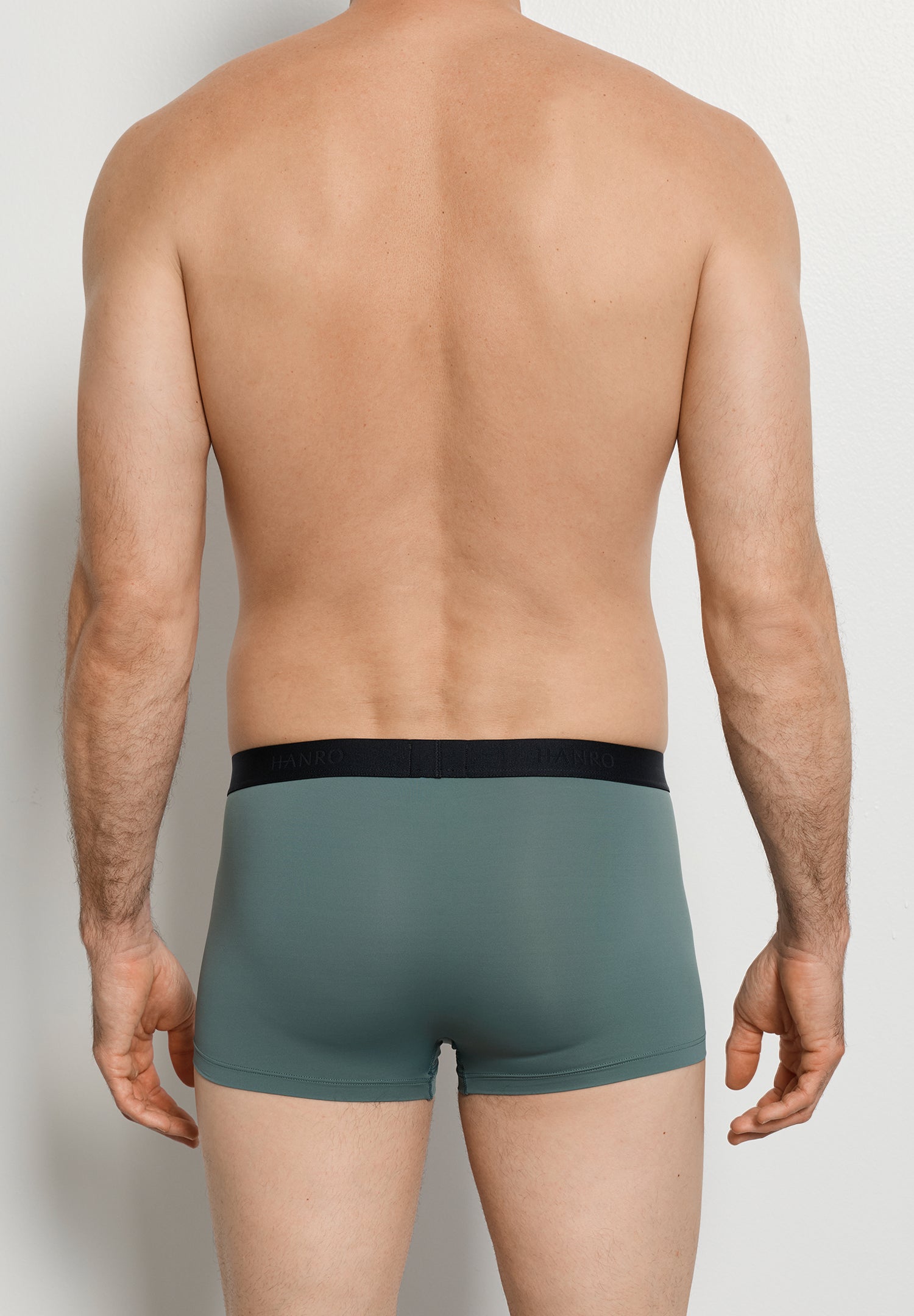 The Micro Touch-Pants by HANRO in Studio Green
